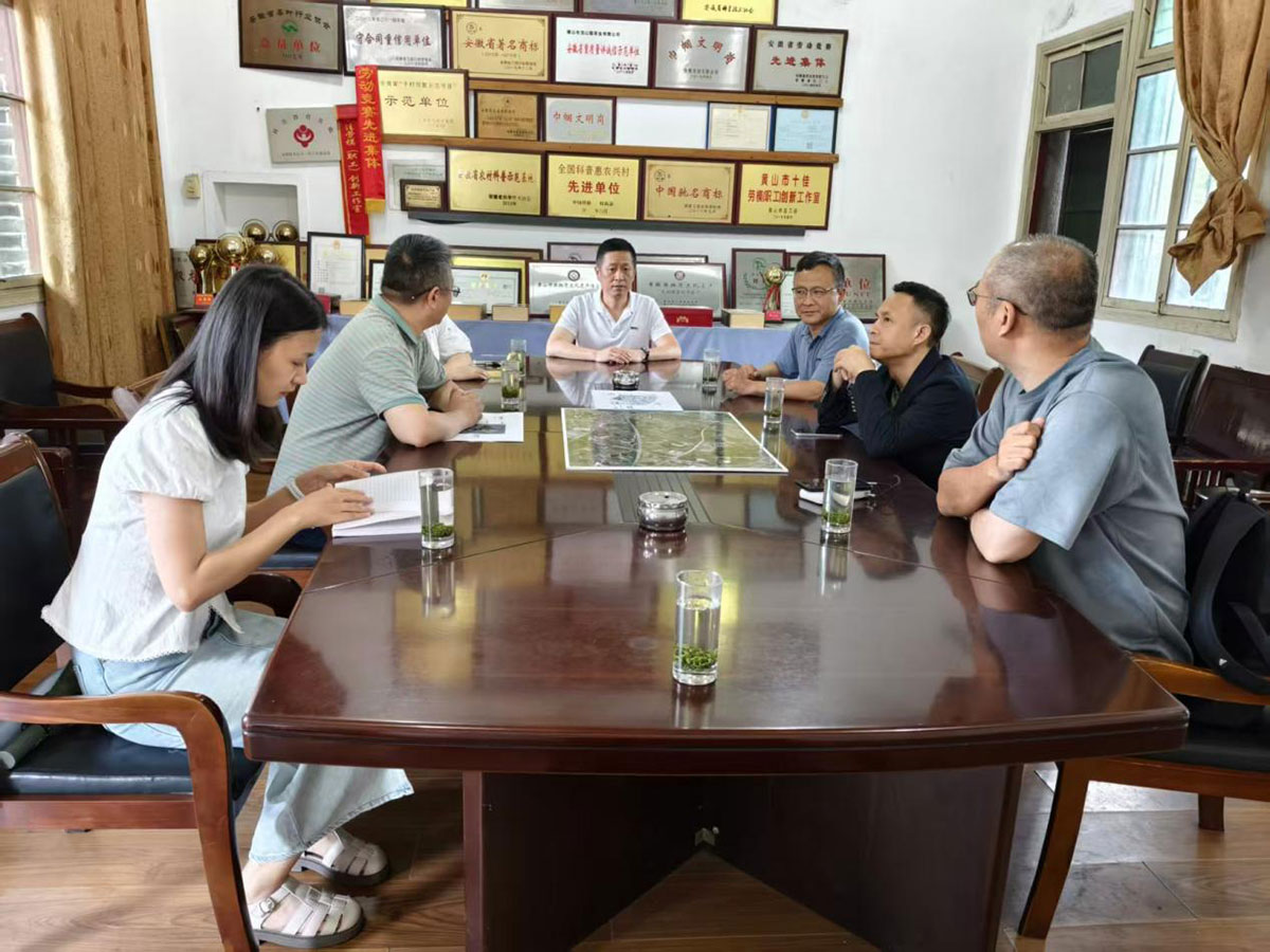 江蘇外聯(lián)采考察團到實驗茶場考察，共商茶產(chǎn)業(yè)合作新藍圖
